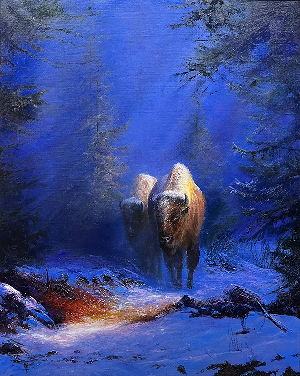 Winter-Bison-Paul Dykman